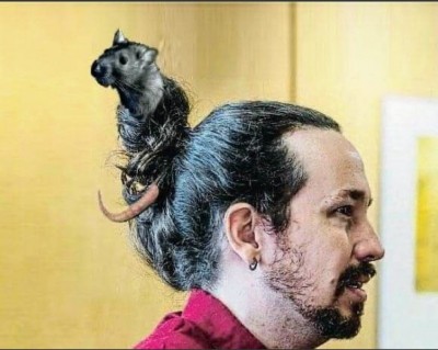 coletas rata pablo iglesias chepas galapagar.jpg