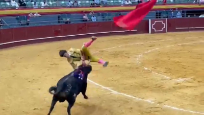 Cogida del novillero Manuel Perera foto toreteate.png
