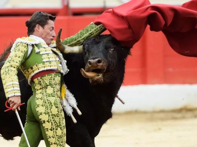 21 Milagros en la plaza El público tiene derecho a no saber.jpg