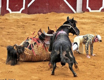 17 JUN Toro Cantinillo de Dolores Aguirre Para A. Lamelas TIENE WEB IMAGENES.jpg