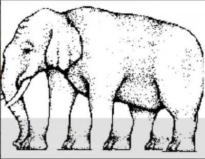 El vino no estaba bueno si el recuento de patas de elefante se complica.PNG