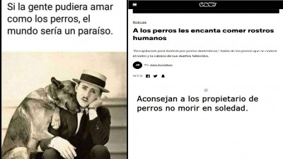 Mascotas Perros.jpg