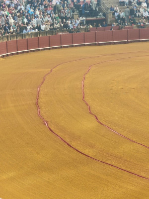 Lineas Ruedo Maestranza.jpg
