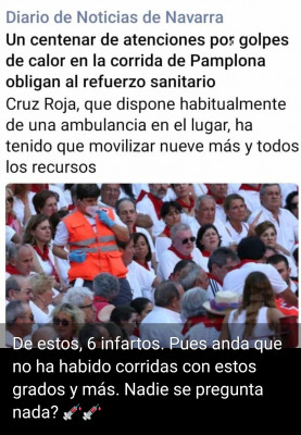 Navarra cruz roja.jpg