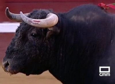 Juan Ortega Manzanares Castillejo de Huebra.jpg