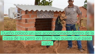 Mascota lujo aire acondicionado.jpg