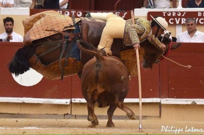 En Bayona (Francia). Toro de Alcurrucén. Foto por Philippe Latous.jpg