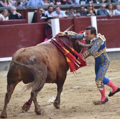 @RRRafaelillo @LasVentas @Simoncasas2012 Un miura Fotografía autor desconocido.jpg