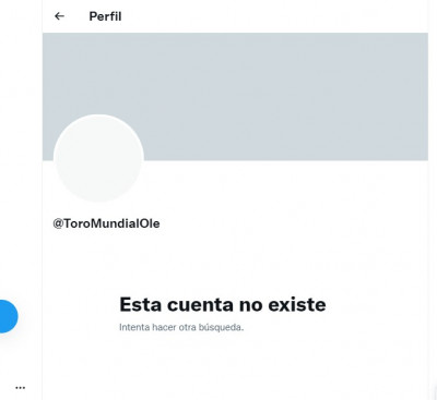 ToroMundialOle.jpg