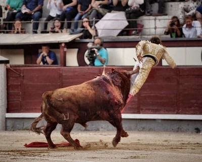 18 Cogida de Juan Leal en Las Ventas 25 05 19.jpg