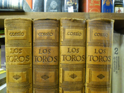 Cossío Los toros.jpg