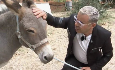 Un burro con un presentador jj vazquez.jpeg