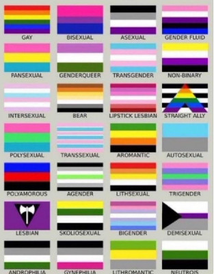 banderas lgtbi.jpeg