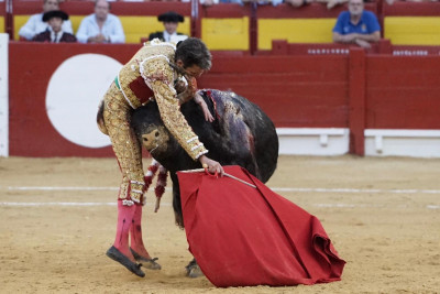 José Tomás burladerotv.jpg