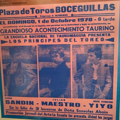 Principes del toreo Boceguillas Julian Maestro.jpg