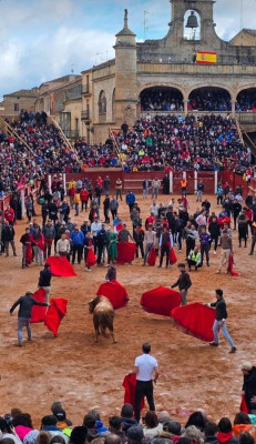 Carnaval del Toro.jpg