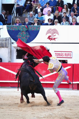 Tomás Rufo foto Blaise Volckaert Nimes 19 May 2024 caída estocada Toro Victoriano del Río, Empanado.jpeg