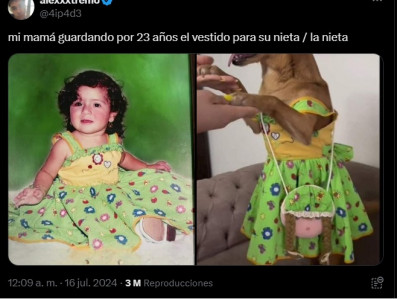Tristeza abuela nieta animal.jpg