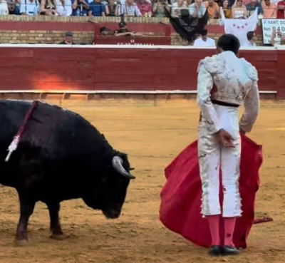 David de Miranda Huelva La Merce toro desmochado.jpeg