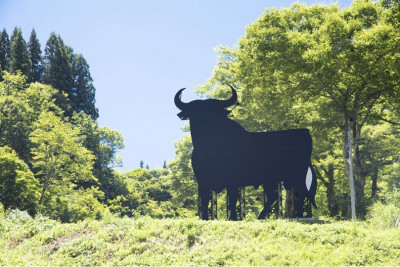 Echigo-Tsumari Toro de Osborne.jpg