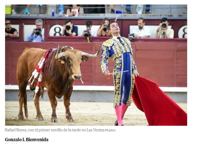 Lamentable espectáculo en las ventas.png