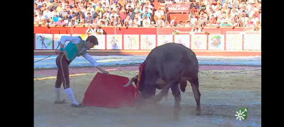 Esaú Fernández y la magallánica con un miura.jpg