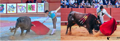 Esaú y Morante torean miuras.png
