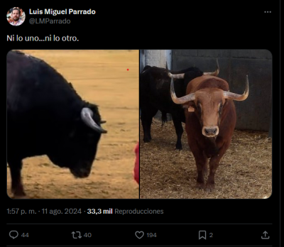 Luis Miguel Parrado Novillada en Las Ventas.png