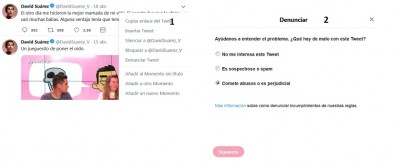 Pasos 1 y 2 Denunciar un tuit.jpg