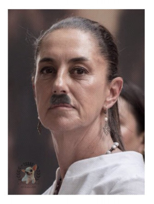 sheinbaum.jpg