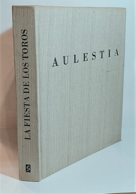 Salvador Aulestia i Vazquez Libro.jpeg