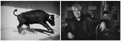 Peter Lindbergh Almodovar y toro.jpg
