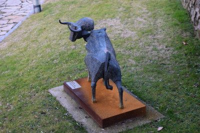Toro.jpg
