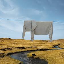 elefante.jpg