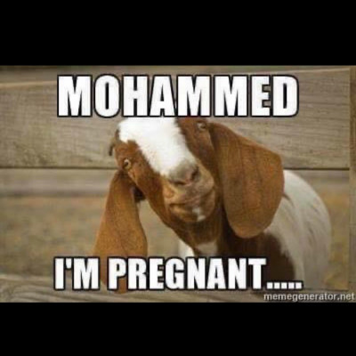 habla la oveja a mohamed.jpg
