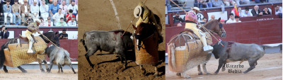 Picadores en Madrid Saltillo.jpg